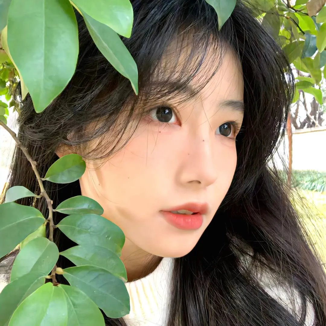 仍是凝视你