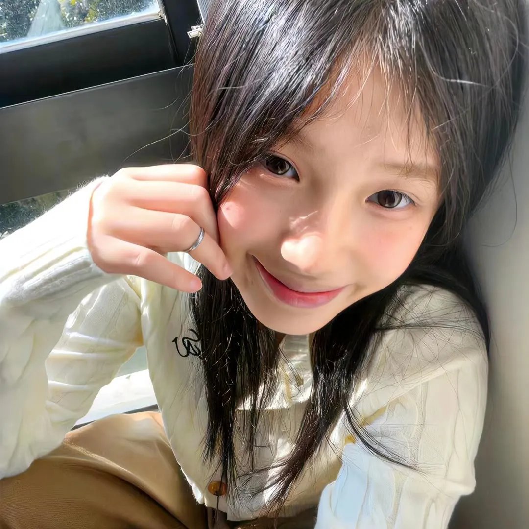 纸房子:全球热潮